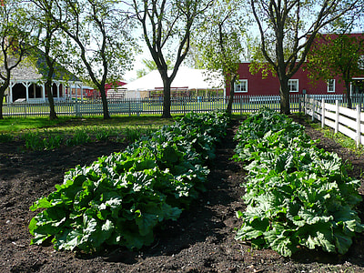 Steinbach, Mennonite Heritage Village thumbnail