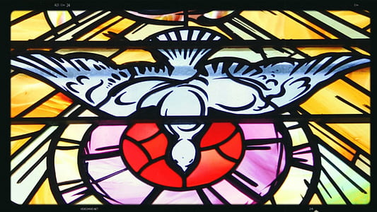 white dove stained glass decor thumbnail