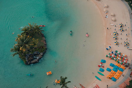 aerial photography of group of people on seashore with island beside thumbnail