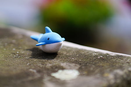 shallow focus photography of blue and white whale thumbnail