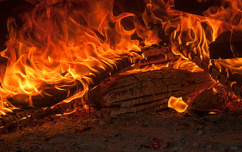 burning firewood thumbnail