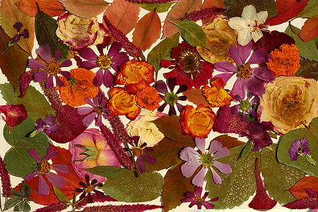 Spring Festival, Table Fall thumbnail