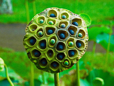 shallow focus photography of worm lot thumbnail