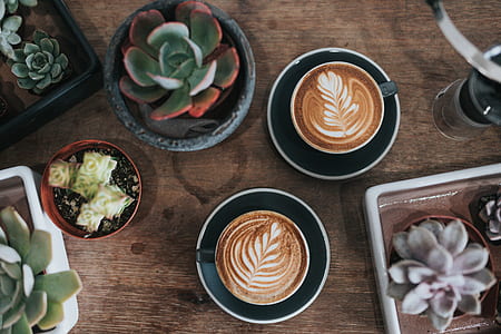 two ceramic cups with latte arts thumbnail
