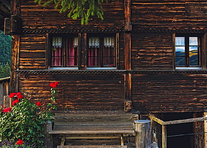 Red Petaled Flower by Porch of Brown Wooden House thumbnail