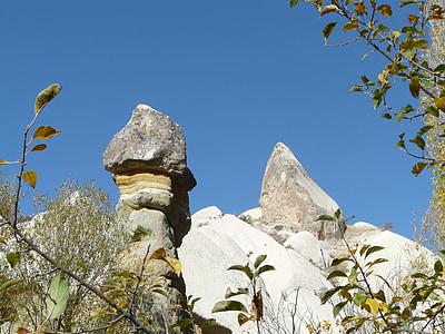 gray stones near green leafed plants thumbnail