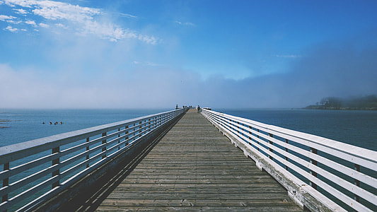 wooden dock on body of water thumbnail