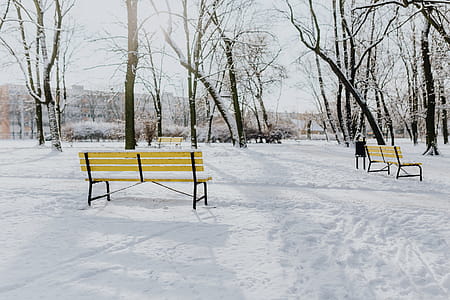 Wintery Park thumbnail