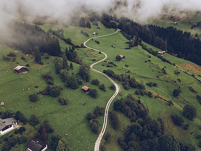 aerial photography of winding road surrounded with grasses and treess thumbnail