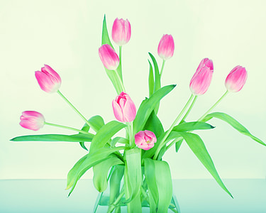 pink tulips flower arrangement thumbnail