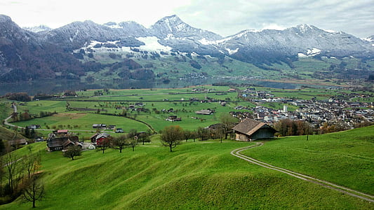 brown wooden house on green field during day time thumbnail