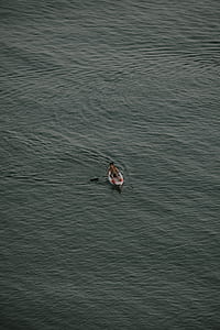 aerial view of person on kayak thumbnail
