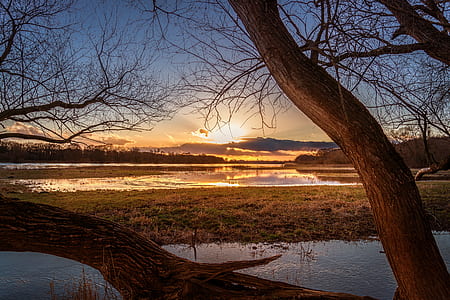 dawn, nature, sunset, water thumbnail