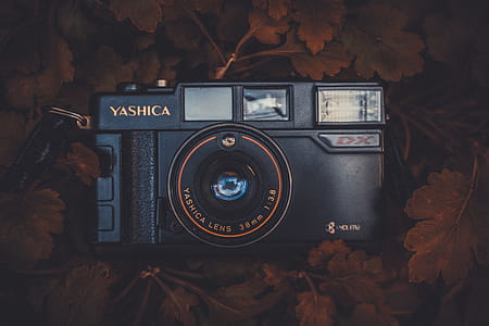 Black Yashica Compact Film Camera Placed on Brown Leaves thumbnail