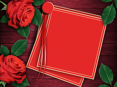 red card beside rose flowers thumbnail