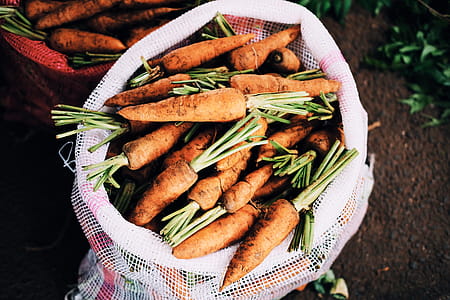 Carrots straight from the soil thumbnail