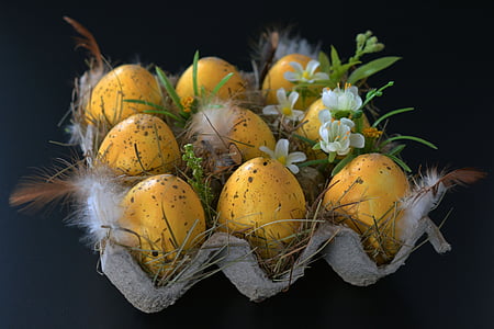 nine yellow eggs in gray egg tray thumbnail