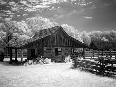 grayscale photo of black wooden house thumbnail
