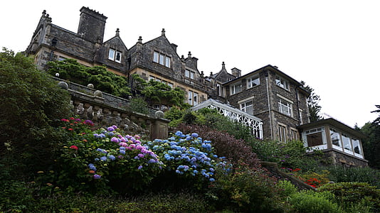 landscape, sky, flowers, garden thumbnail