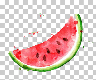 Watermelon Frutti di bosco Fruit Watercolor painting, Watercolor watermelon, watermelon illustration PNG clipart