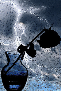 silhouette of flower in vase and lightning thumbnail