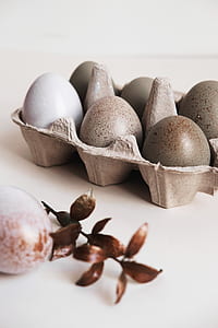 gray and white eggs on tray thumbnail