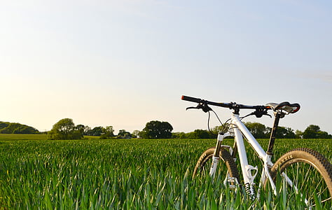 white hardtail mountain bike surrounded by green plants during daytime thumbnail