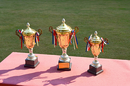 three gold-colored trophies on table thumbnail
