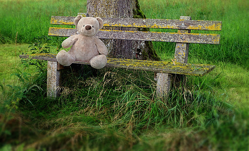 brown teddy bear on brown wooden bench during daytime thumbnail