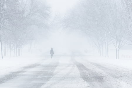 person walking on road near trees thumbnail