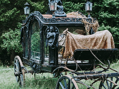 black carriage on green grass thumbnail