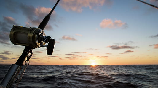 gray and black fishing rod under blue and white cloudy sky during golden hour thumbnail