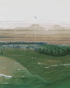 aerial photography of land field thumbnail