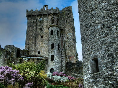 castle, ruins, ancient, old, architecture, medieval thumbnail