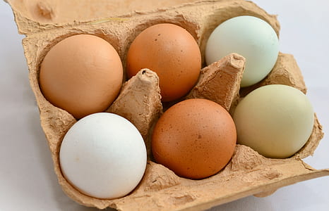 six eggs in brown tray thumbnail