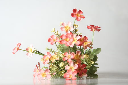 pink petaled flowers thumbnail