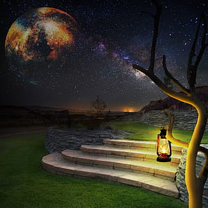 kerosene lamp hanging on bare tree during night time thumbnail