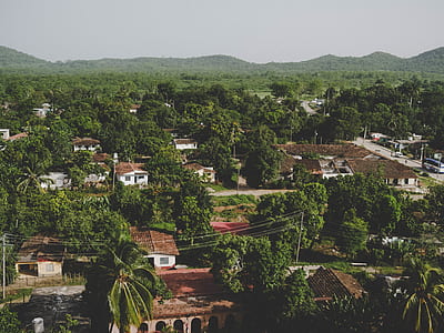 aerial view of houses and trees at daytime thumbnail