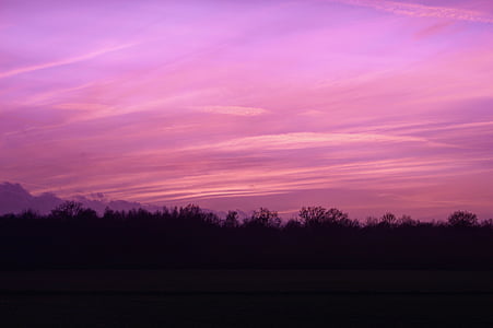 silhouette photo of trees under purple and red sky during sunset thumbnail