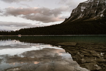 landscape photography of water body thumbnail