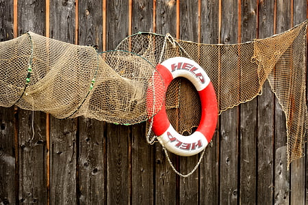 red and white lifebuoy hanged on wooden wall thumbnail