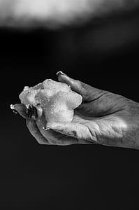 Black-and-white Photo of Hand Holding Snow thumbnail
