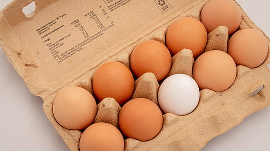 ten organic eggs on box thumbnail