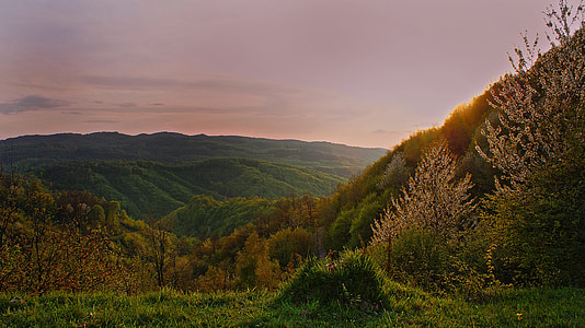 landscape photography of green mountains and trees thumbnail