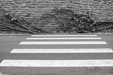 grayscale photo of pedestrian lane thumbnail