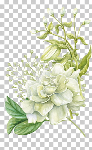 Watercolor painting Floral design Flower, Hand painted watercolor flowers, white rose flower painting PNG clipart
