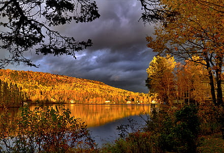 lake between tall trees under black sky thumbnail