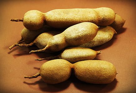 tamarind on shallow focus lens photography thumbnail