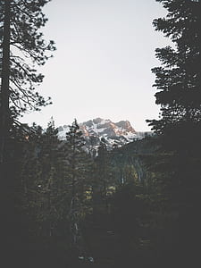 mountain coated with snow thumbnail