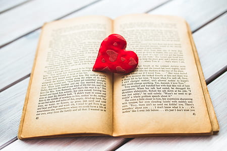 red heart decor on books thumbnail